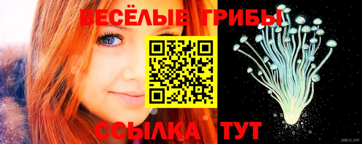 Арсеньев  Галлюциногенные грибы Magic Shrooms  Вход с VPN 